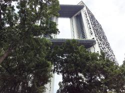 Blk 1D The Pinnacle@Duxton (Bukit Merah), HDB 4 Rooms #131881122